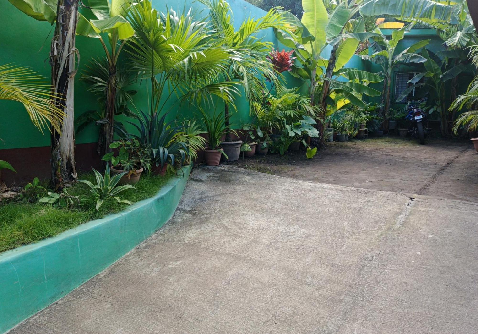 Cocos Hostel Moyogalpa Zewnętrze zdjęcie