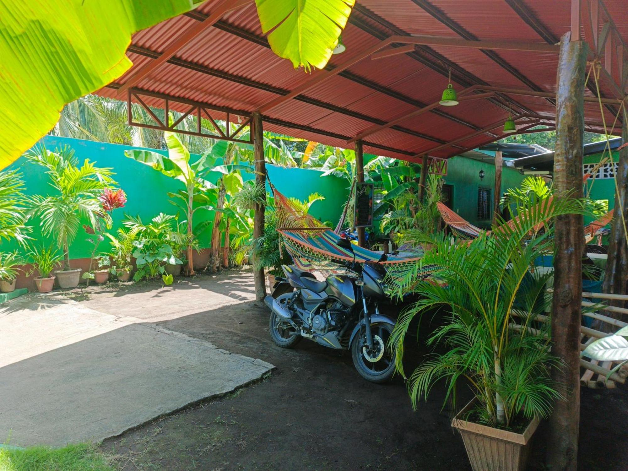 Cocos Hostel Moyogalpa Zewnętrze zdjęcie